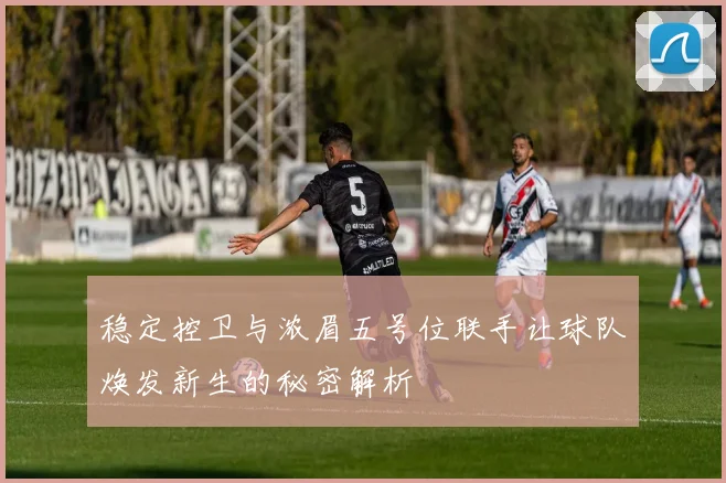 稳定控卫与浓眉五号位联手让球队焕发新生的秘密解析