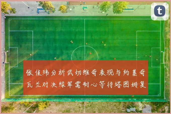 张佳玮分析武切维奇表现与约基奇瓦兰对决绿军需耐心等待塔图姆复出