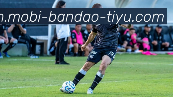 App Interface Preview