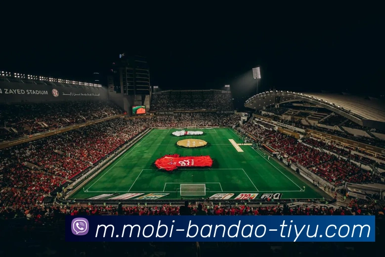 半岛体育APP 封面图